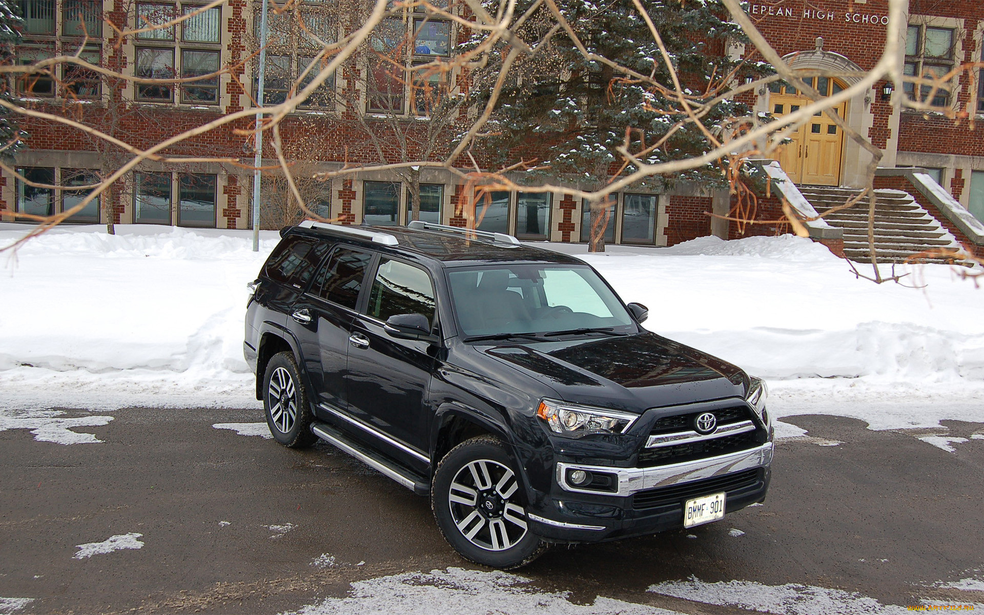 , toyota